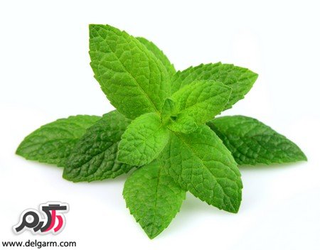 چگونه چاکلت با نعناع و دارچین درست کنیم؟