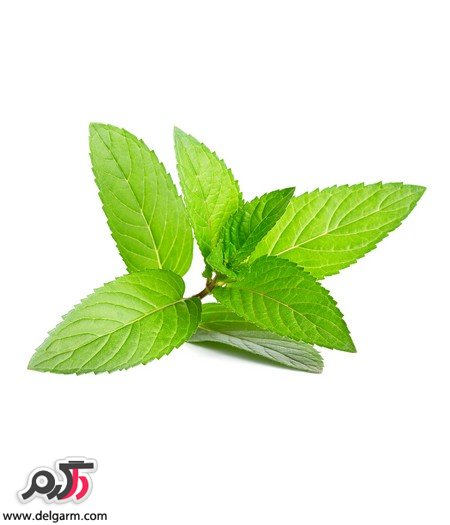 چگونه چاکلت با نعناع و دارچین درست کنیم؟