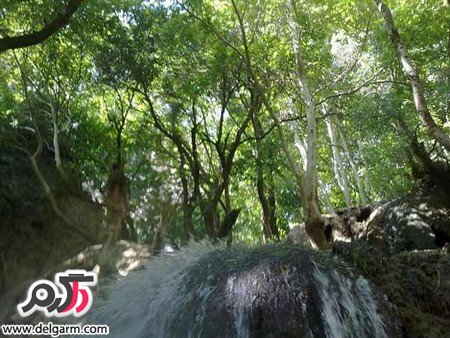 تنگ بستانک بهشت دیگری نزدیک به شیراز