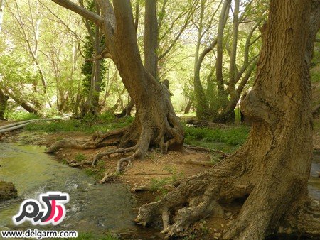 تنگ بستانک بهشت دیگری نزدیک به شیراز