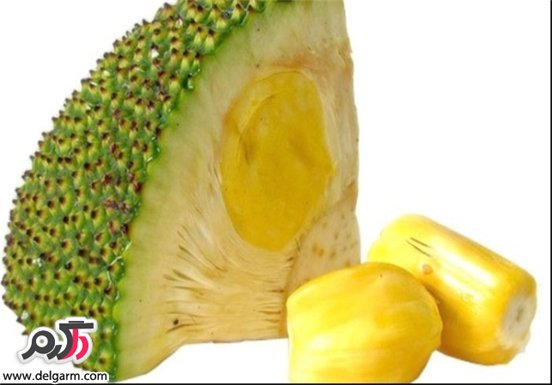 میوه های جالب اینبار Jackfruit جاک فروت یا جاکویرا