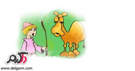 شتر دیدی ، ندیدی