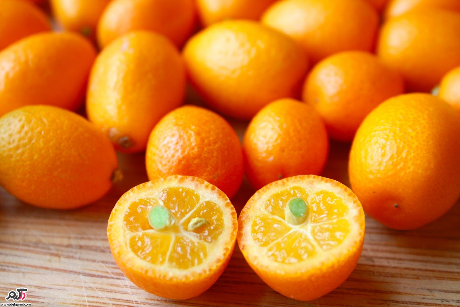 Оранжевый фрукт похожий. Дикий мандарин кумкват. Цитрусовый фрукт кумкват. Маленький мандарин кумкват. Кумкват апельсин.