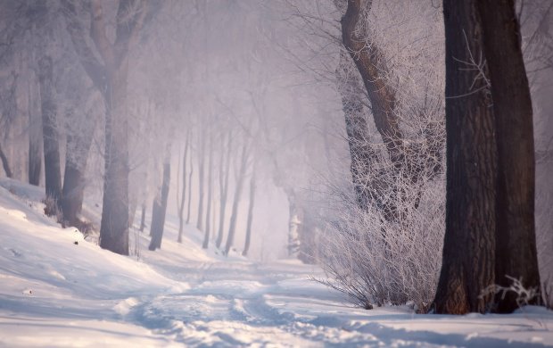 تصاویر زیبا از زمستان سری دوم