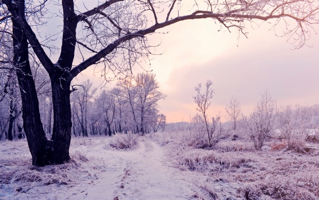 تصاویر زیبا از زمستان سری دوم