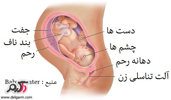 سلامت جنین