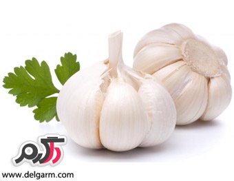 خواص سیر