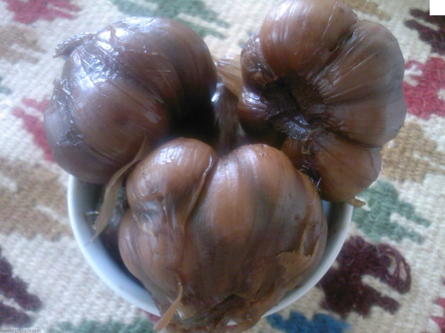 عکس سیر