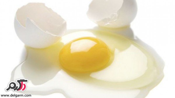 استفاده از سفید تخم مرغ برای درمان سوختگی
