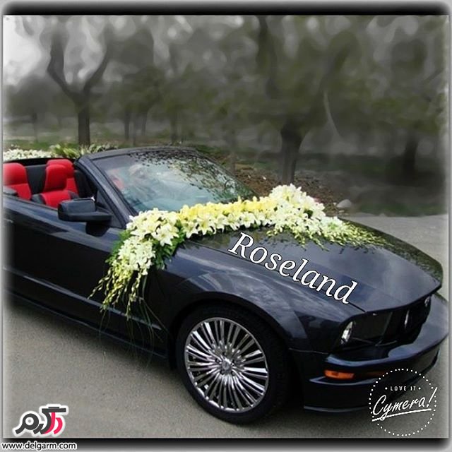 تزئینات ماشین عروس مرداد2016