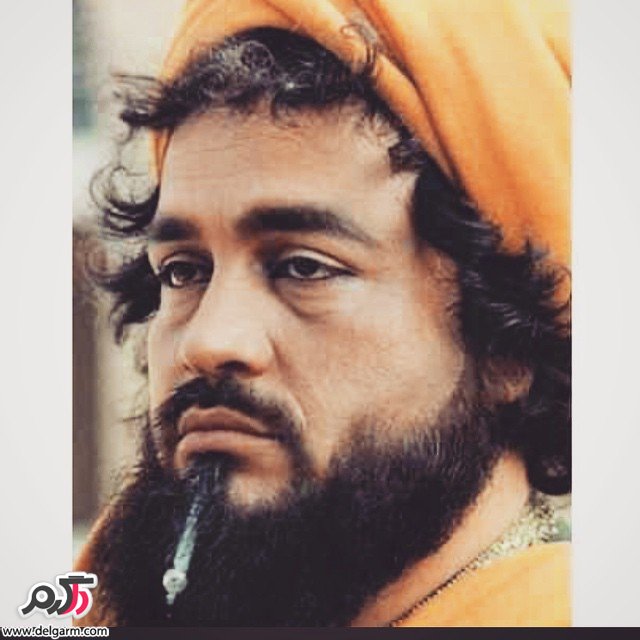 محمد رضا شریفی نیا بازیگر محمد رضا شریفی نیا بازیگر