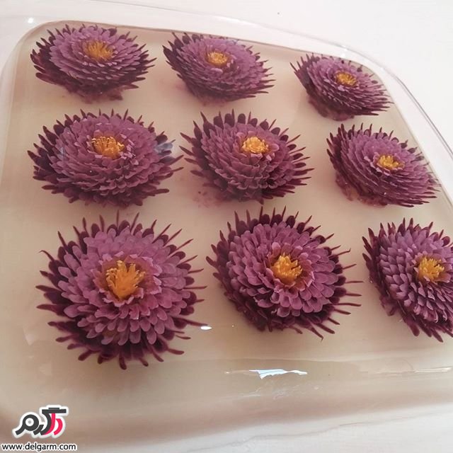 مدل جدید ژله تزریقی با گل های زیبا و رنگ های متنوع مدل جدید ژله تزریقی با گل های زیبا و رنگ های متنوع
