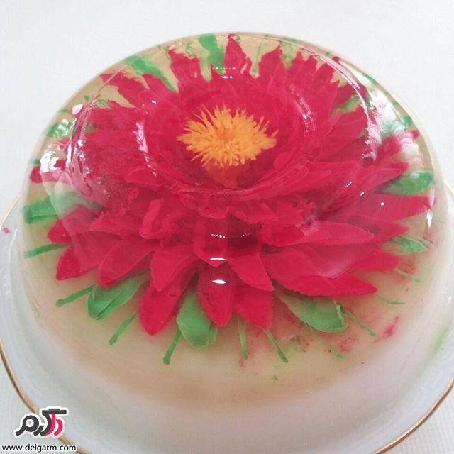 طرح های متنوع ژله تزریقی2016