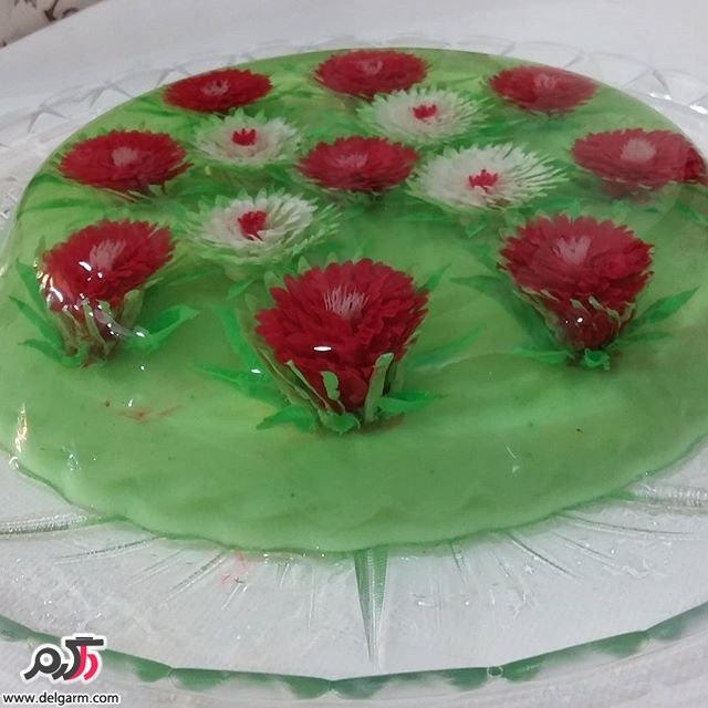 طرح های متنوع ژله تزریقی2016