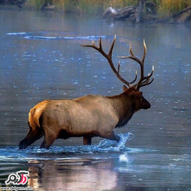  تصاویر طبیعت