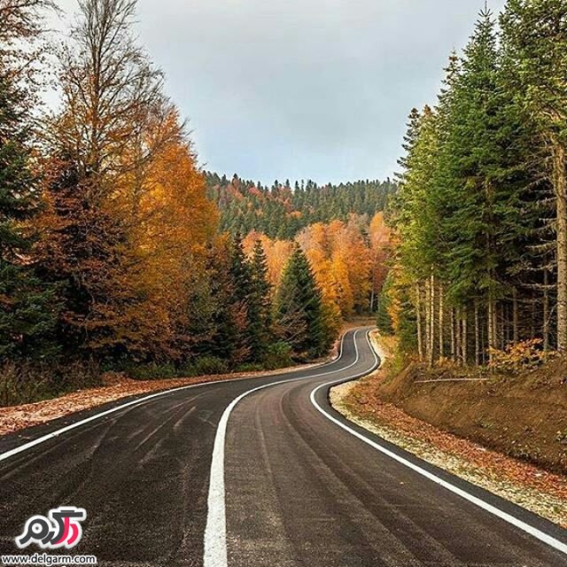  تصاویر طبیعت