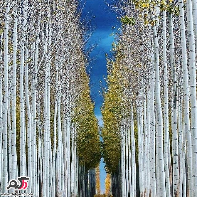  تصاویر طبیعت