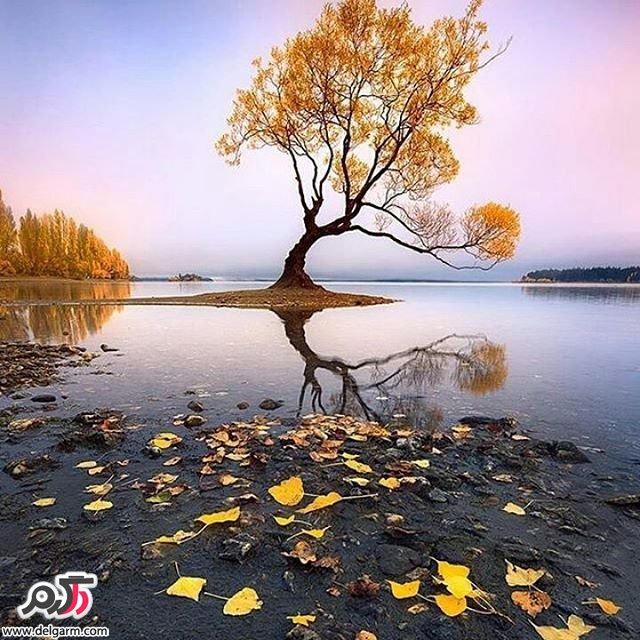  تصاویر طبیعت