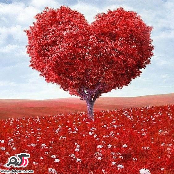  تصاویر طبیعت