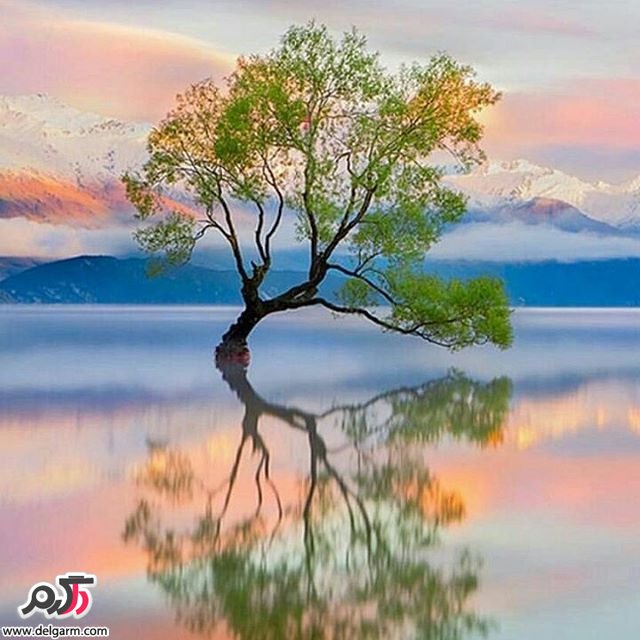  تصاویر طبیعت