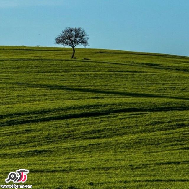 تصاویر طبیعت