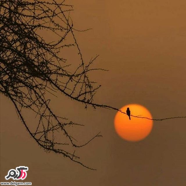  تصاویر طبیعت