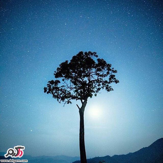  تصاویر طبیعت