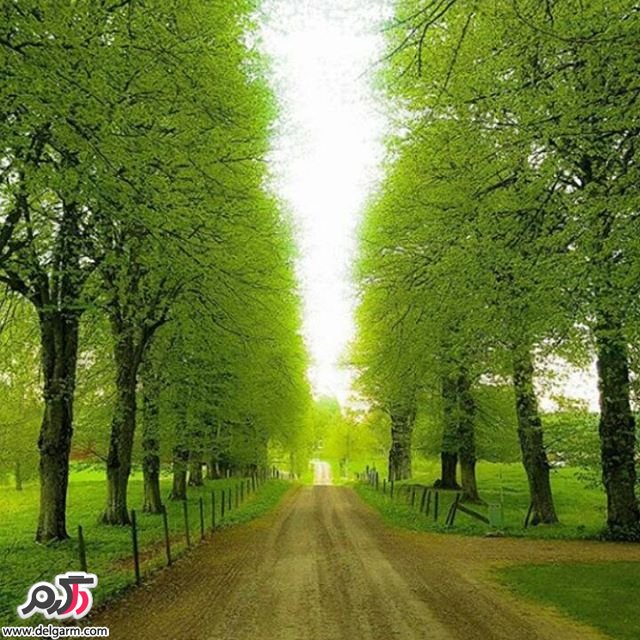  تصاویر طبیعت