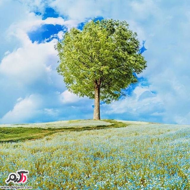  تصاویر طبیعت