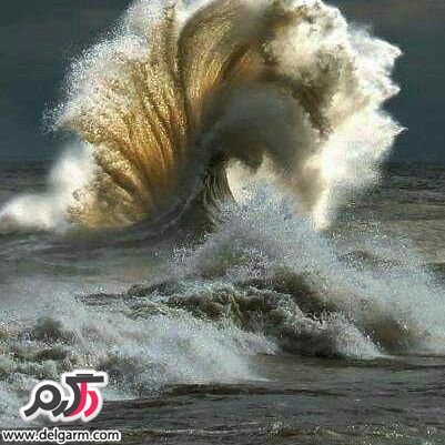  تصاویر طبیعت