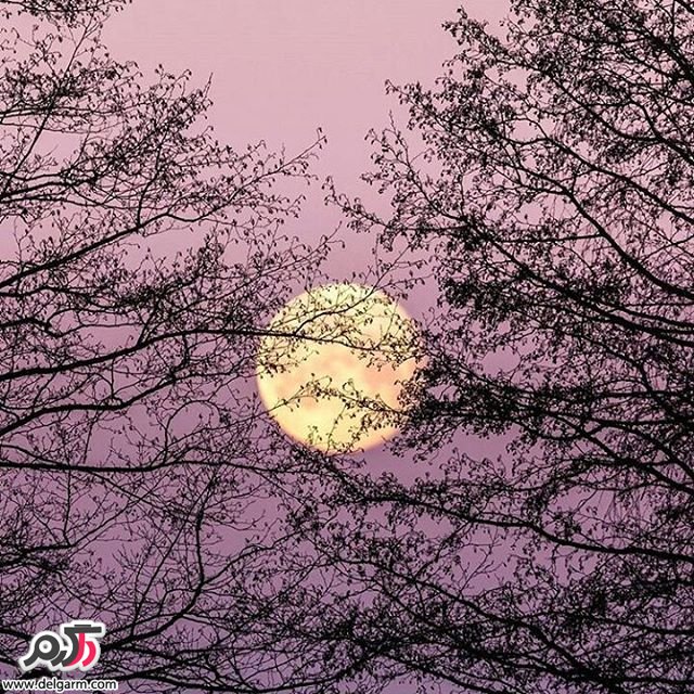  تصاویر طبیعت