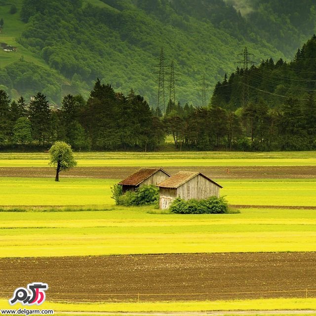  تصاویر طبیعت