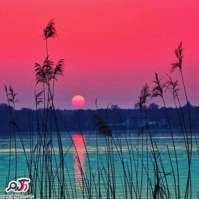  تصاویر طبیعت