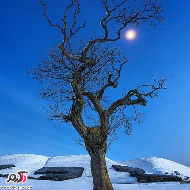  تصاویر طبیعت