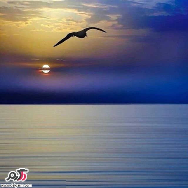  تصاویر طبیعت