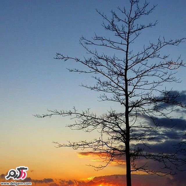  تصاویر طبیعت