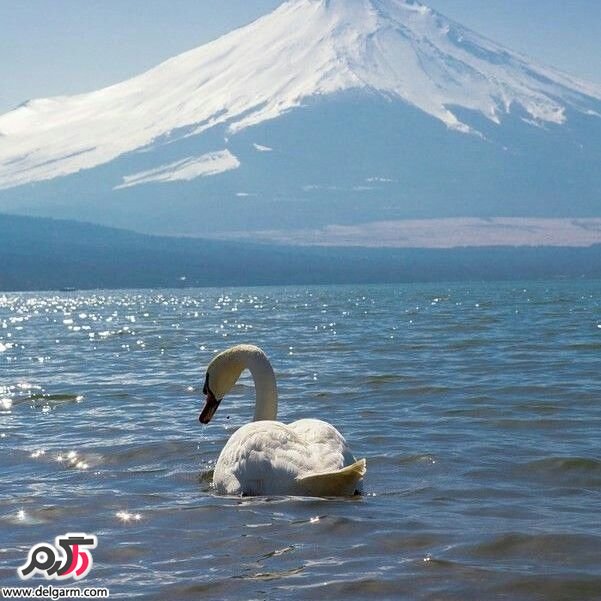  تصاویر طبیعت