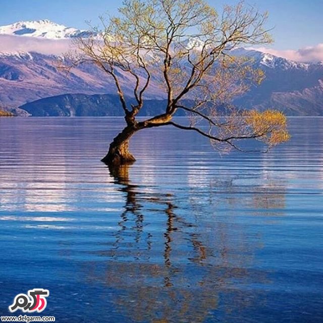  تصاویر طبیعت