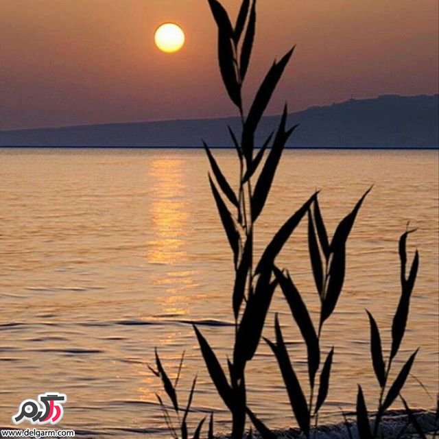  تصاویر طبیعت