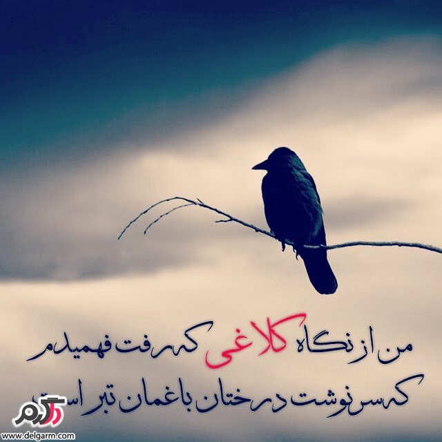 عکس نوشته های زیبا
