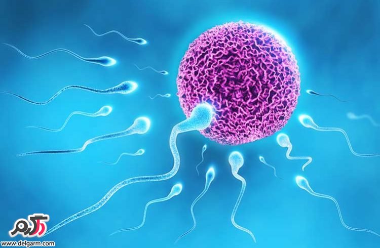 راه عجیب و ساده برای افزایش تعداد اسپرم مرد