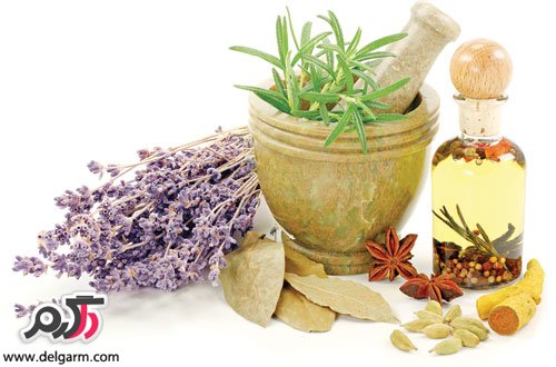 http://www.delgarm.com/health/herbal-and-traditional-medicine