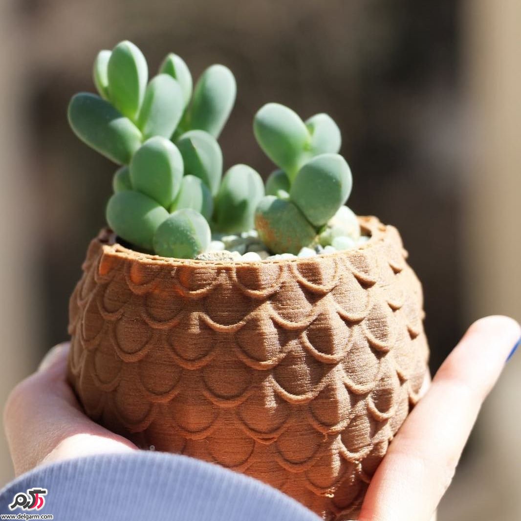 ایده رنگی و کم هزینه برای عیدی دادن