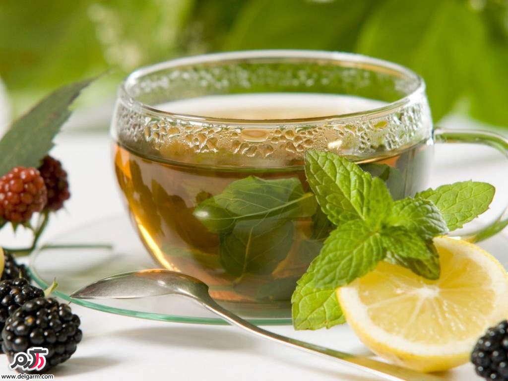 آشنایی با خواص دمنوش گزنه + طرز تهیه دمنوش گزنه آشنایی با خواص دمنوش گزنه + طرز تهیه دمنوش گزنه