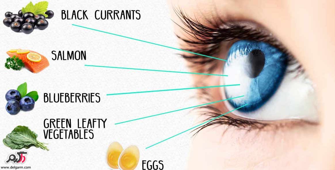مواد غذایی مورد نیاز برای سلامت چشم ها 