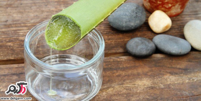 خواص دارویی و درمانی آب کاکتوس