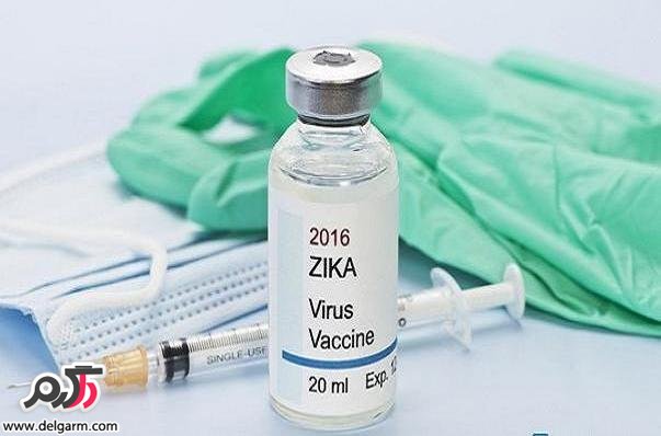  محافظت کامل واکسن زیکا از مدل‌های حیوانی 