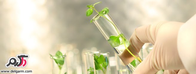 شیمی سبز چیست؟