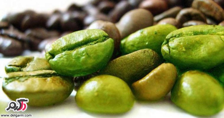 تاثیر شگفت انگیز قهوه سبز در آب کردن چربی های شکمی
