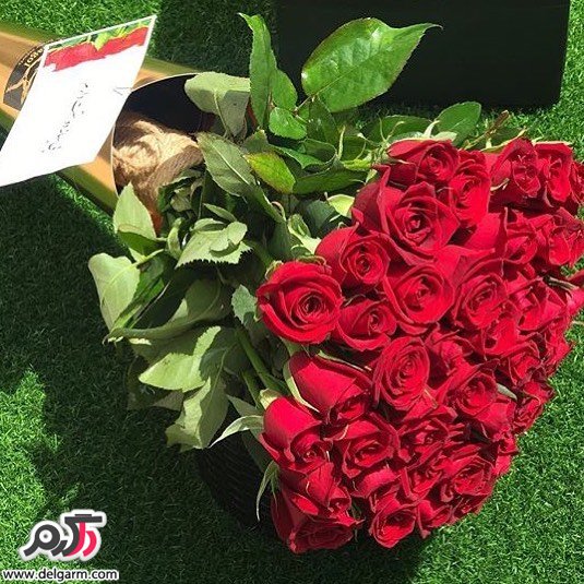 باکس گل رز قرمز